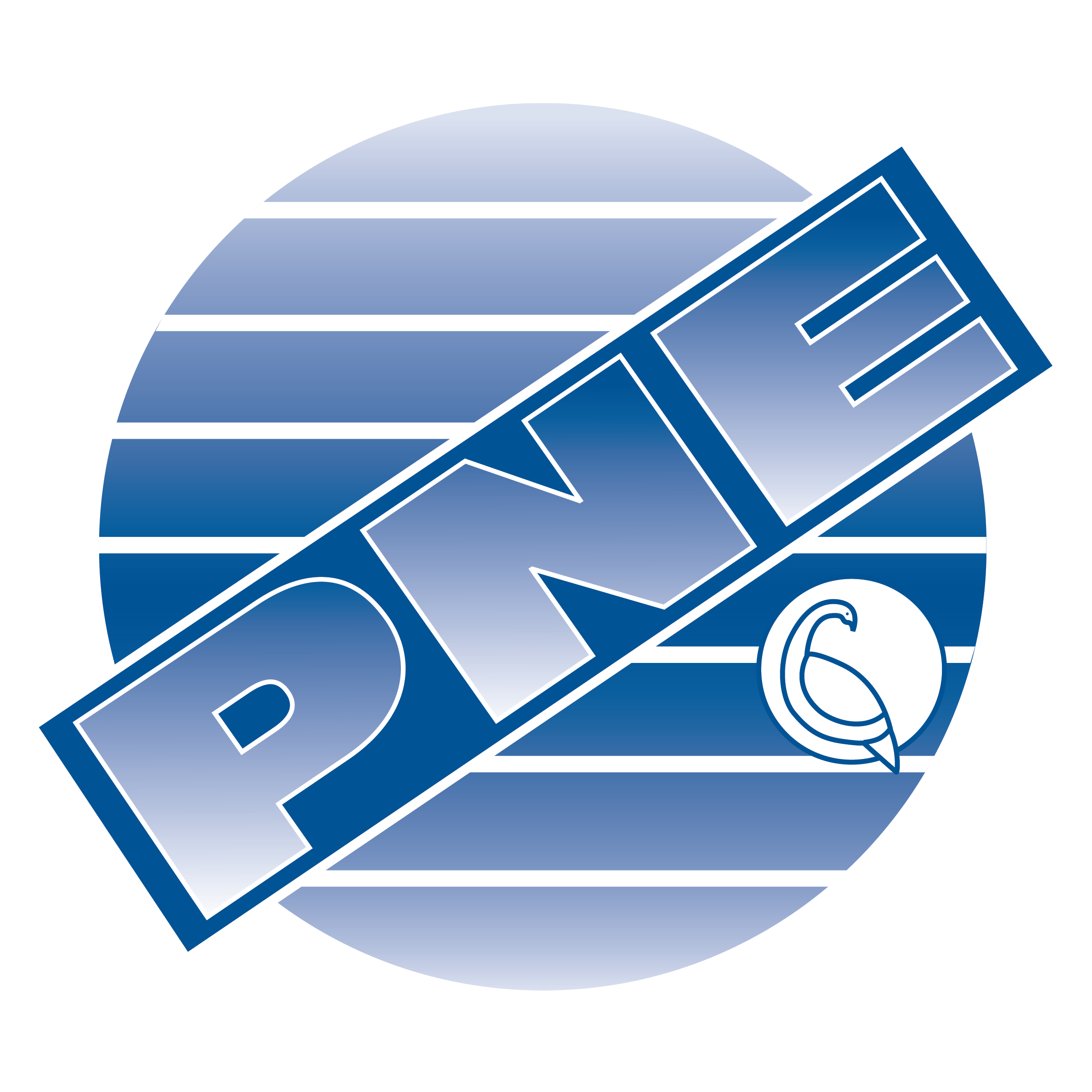 PNE Corporation
